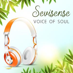 Sevisense - Voice of Soul