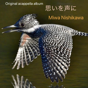 模様の同じあげは蝶