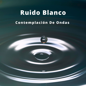 Conservación De Las Ondas Theta