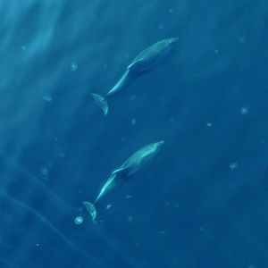 when my heart’s in flight（伴奏）