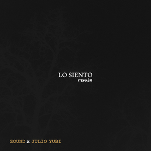 Lo Siento (Remix)