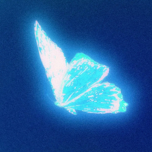 电子蝴蝶 ( Prod By 失眠登月计划 )