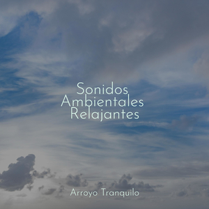 Meditación En Esterilla