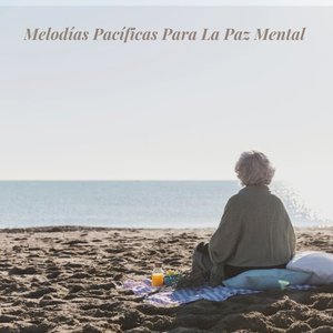 Canciones Del Silencio