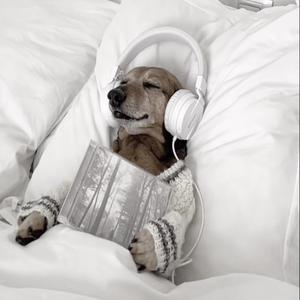 balada de dragoste romantica xoxo (feat. Lqsoni & BONESAW)