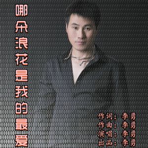 哪朵浪花是我的最爱  伴奏