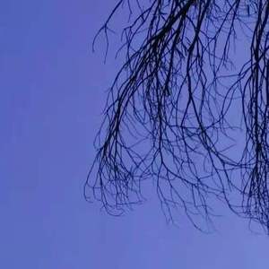 简单的梦想 伴奏