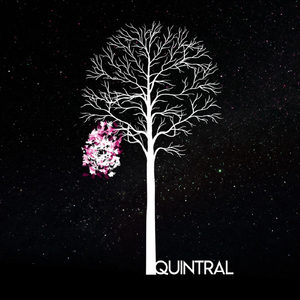 Quintral