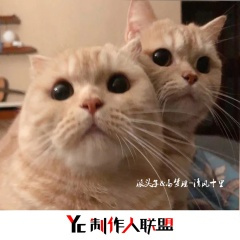 暖一杯奶茶