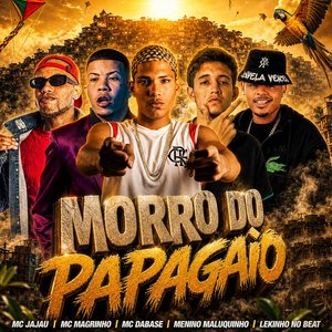 Morro do Papagaio