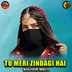 Tu Meri Zindagi Hai (1)