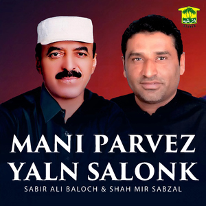 Mani Parvez Yaln Salonk