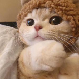 Stuck In The Club（翻自 VINIDA万妮达）