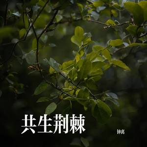 共生荆棘