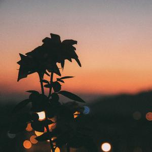 Love you like the movies