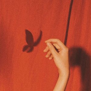 Butterflies (나비)