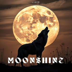 Moonshine