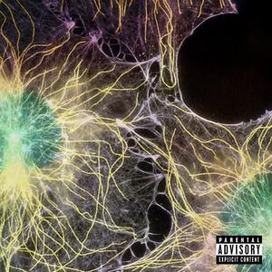 CELL