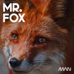 Mr. Fox