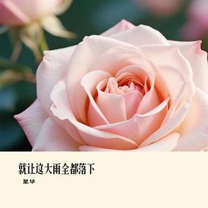 只若初见 (星华 Remix)