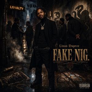 FAKE NIG