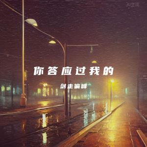 你答应过我的 伴奏