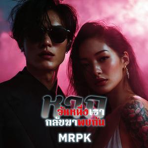 หากวันหนึ่งเรากลับมาพบกัน