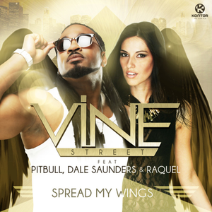 spread my wings (davis redfield extended mix)