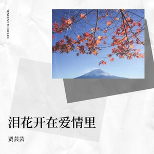 花轿里的人