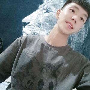 红尘遍地（翻自 Mc名决）