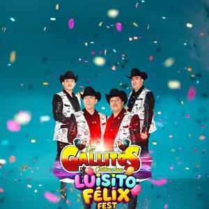 Mata verde de limon-Los Gallitos de chihuahua (en vivo fiesta Luisito Felix fest) (En vivo)