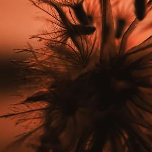 遗憾拥抱后的孤寂乐章