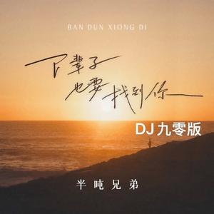 下辈子也要找到你 (DJ九零版)
