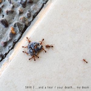 Your Death... My Doom