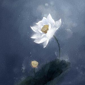 醒不来的梦（live）