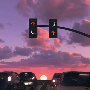 完美受害者（Prod.jianastic.X）