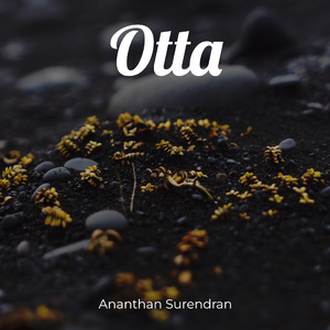 Otta