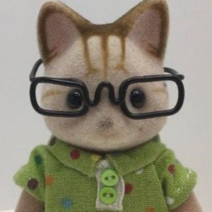 Con los Lentes Puestos