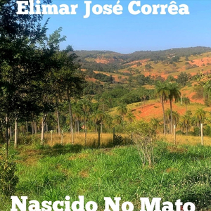 Nascido no Mato