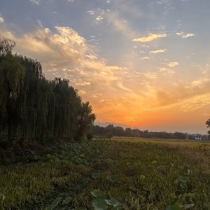 散场倒计时（deepseek热歌）