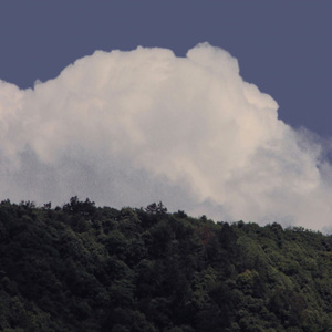 喜欢你（cover徐佳莹）