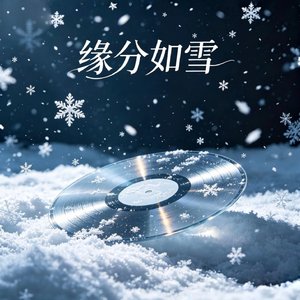 缘分如雪