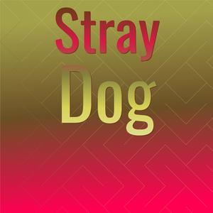 Do You Know What I Mean