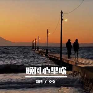 晚风心里吹（原唱：阿梨粤）