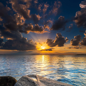 妓和不如（Cover:隔壁老樊）