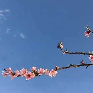 与未来自己的约定