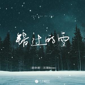错过的雪
