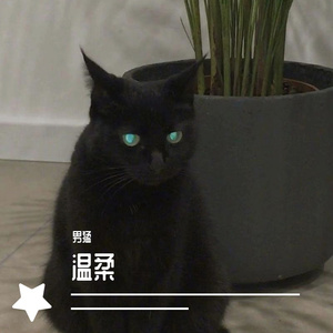 余生哥哥-祝福之歌（你若成风）（男猛 remix）