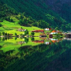 四叶草万丈光芒