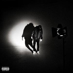 БИПОЛЯРНЫЙ